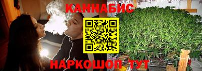 стаф Будённовск