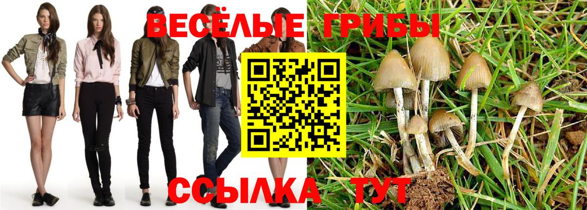 Галлюциногенные грибы Psilocybe Первоуральск