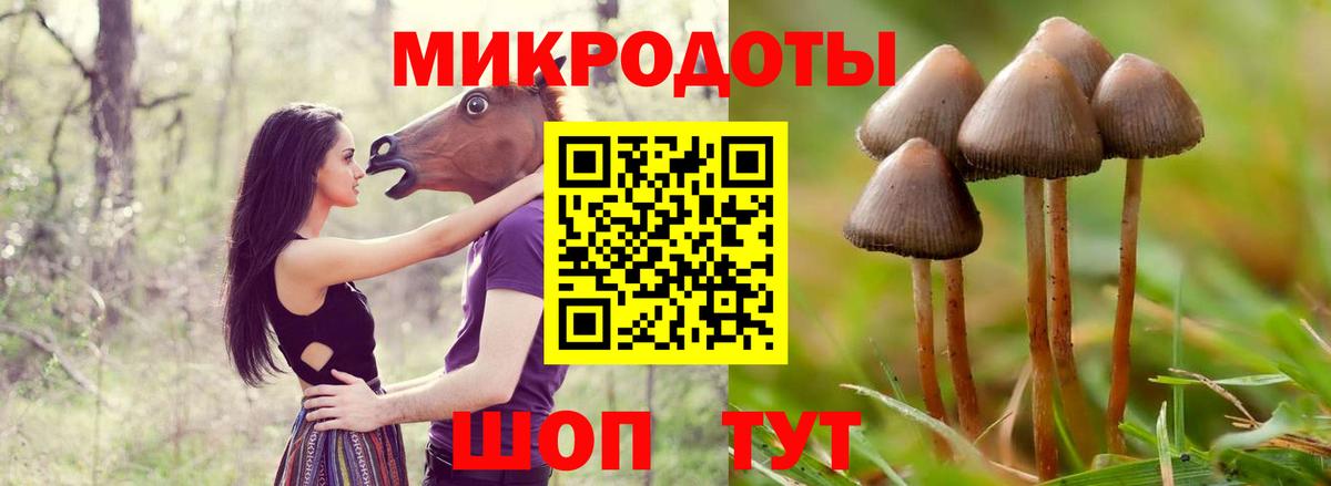 Первоуральск  Псилоцибиновые грибы Magic Shrooms  Вход с VPN  купить наркотики сайты  Псилоцибиновые грибы Psilocybine cubensis 